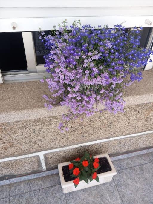 Apartamento En San Vicente De O Grove Bagian luar foto