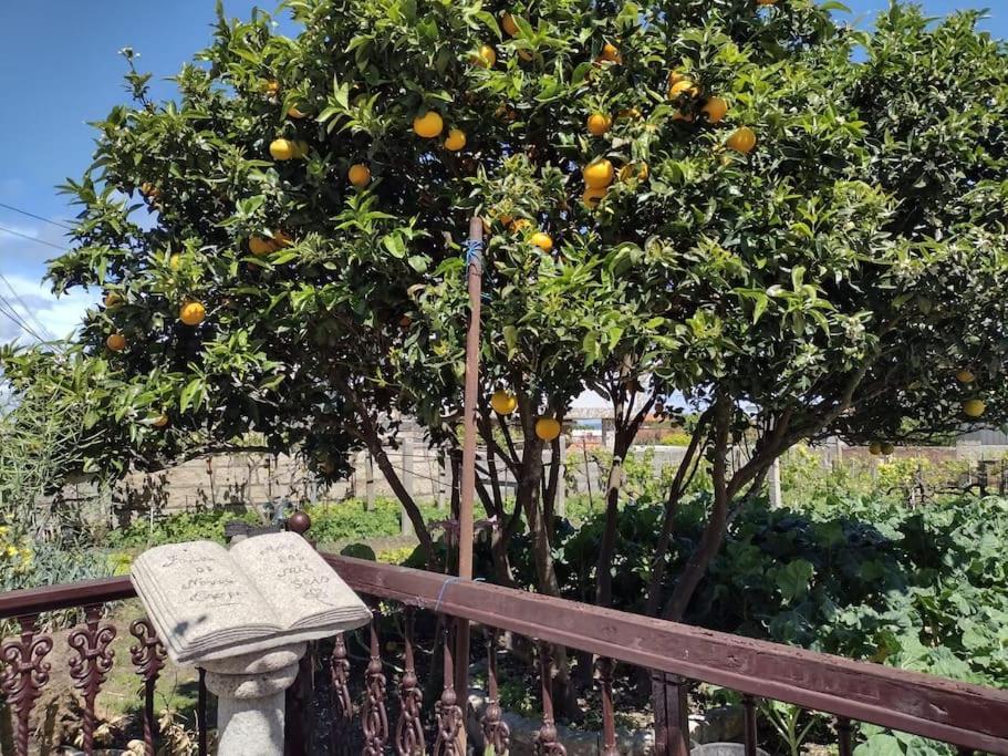 Apartamento En San Vicente De O Grove Bagian luar foto